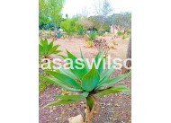 Sale - Apartment - Orihuela Costa - La Florida