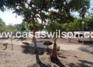 Sale - Apartment - Orihuela Costa - LOMAS CABO ROIG