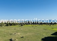 Sale - Apartment - Punta Prima - Costa Blanca
