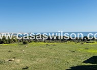 Sale - Apartment - Punta Prima - Costa Blanca