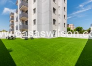Sale - Apartment - San Miguel de Salinas - Inland