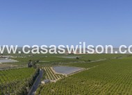 Sale - Apartment - San Miguel de Salinas - Inland