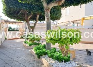 Sale - Apartment - Torrevieja - Aguas nuevas 2