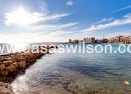 Sale - Apartment - Torrevieja - Estacion De Autobuses