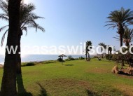 Sale - Apartment - Torrevieja - La veleta