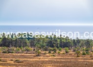 Sale - Apartment - Torrevieja - Punta prima