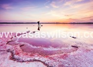 Sale - Apartment - Villamartin - Costa Blanca