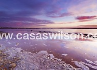 Sale - Apartment - Villamartin - Costa Blanca