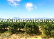 Sale - Appartement - Algorfa
