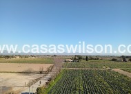 Sale - Appartement - Daya Vieja