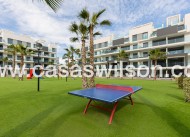 Sale - Appartement - Guardamar del Segura - EL RASO