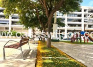 Sale - Appartement - Guardamar del Segura - Pueblo