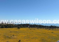 Sale - Appartement - Orihuela Costa - Punta Prima