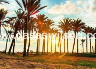 Sale - Appartement - Orihuela Costa