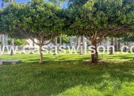 Sale - Appartement - Torrevieja - Nueva Torrevieja - Aguas Nuevas
