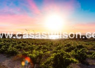 Sale - Bungalow - Torrevieja - La Siesta - El Salado - Torreta