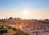 Sale - Bungalow - Torrevieja - La Siesta - El Salado - Torreta