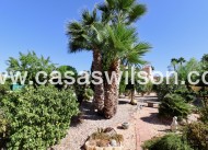 Sale - Country Property - Catral
