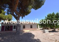 Sale - Country Property/Finca - Daya Nueva