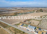 Sale - Country Property/Finca - Elche Pedanías - Daimés