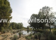Sale - Country Property/Finca - Monóvar/Monóver - Inland
