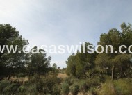 Sale - Country Property/Finca - Monóvar/Monóver - Inland