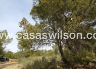 Sale - Country Property/Finca - Monóvar/Monóver - Inland