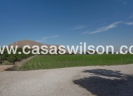 Sale - Country Property/Finca - Orihuela - San Bartolome