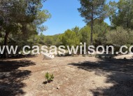 Sale - Country Property/Finca - Orihuela - Torremendo