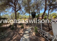 Sale - Country Property/Finca - Orihuela - Torremendo