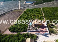 Sale - Country Property/Finca - Orihuela