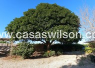 Sale - Country Property/Finca - Orihuela