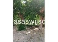 Sale - Country Property/Finca - Redován - Inland