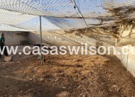 Sale - Country Property/Finca - San Miguel de Salinas