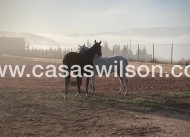 Sale - Country Property/Finca - Torre Del Rico