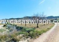 Sale - Country Property/Finca - Torremendo