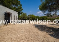 Sale - Country Property/Finca - Torremendo