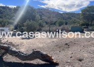Sale - Country Property/Finca - Torremendo