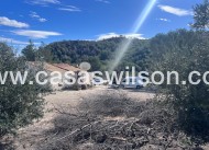 Sale - Country Property/Finca - Torremendo