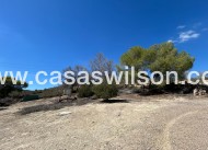 Sale - Country Property/Finca - Torremendo