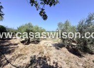 Sale - Country Property - La Marina - Costa Blanca