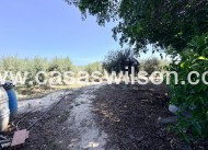 Sale - Country Property - La Marina - Costa Blanca