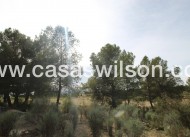 Sale - Country Property - Monóvar/Monóver - Inland