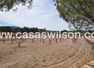Sale - Country Property - Monóvar/Monóver - Inland