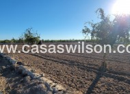 Sale - Country Property - San Miguel de Salinas