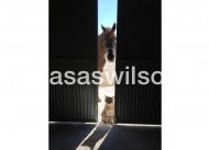 Sale - Country Property - Torre Del Rico