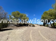 Sale - Country Property - 
