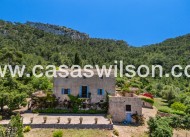 Sale - Finca / Country House - Felanitx - Mallorca