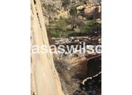 Sale - Land and Plots - Onil - Inland