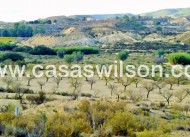 Sale - Plot of Land - Torremendo